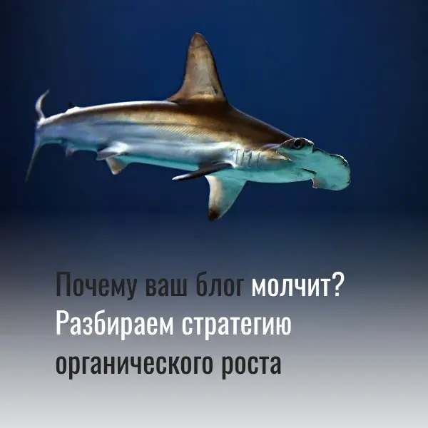 Почему системное ведение блога – это не «поговорить», а инвестиция в органику 🔥
Многие бизнесы воспринимают корпоративный блог как «пусть будет, у Васи есть и нам надо, может кто зайдет» | Сетка — социальная сеть от hh.ru