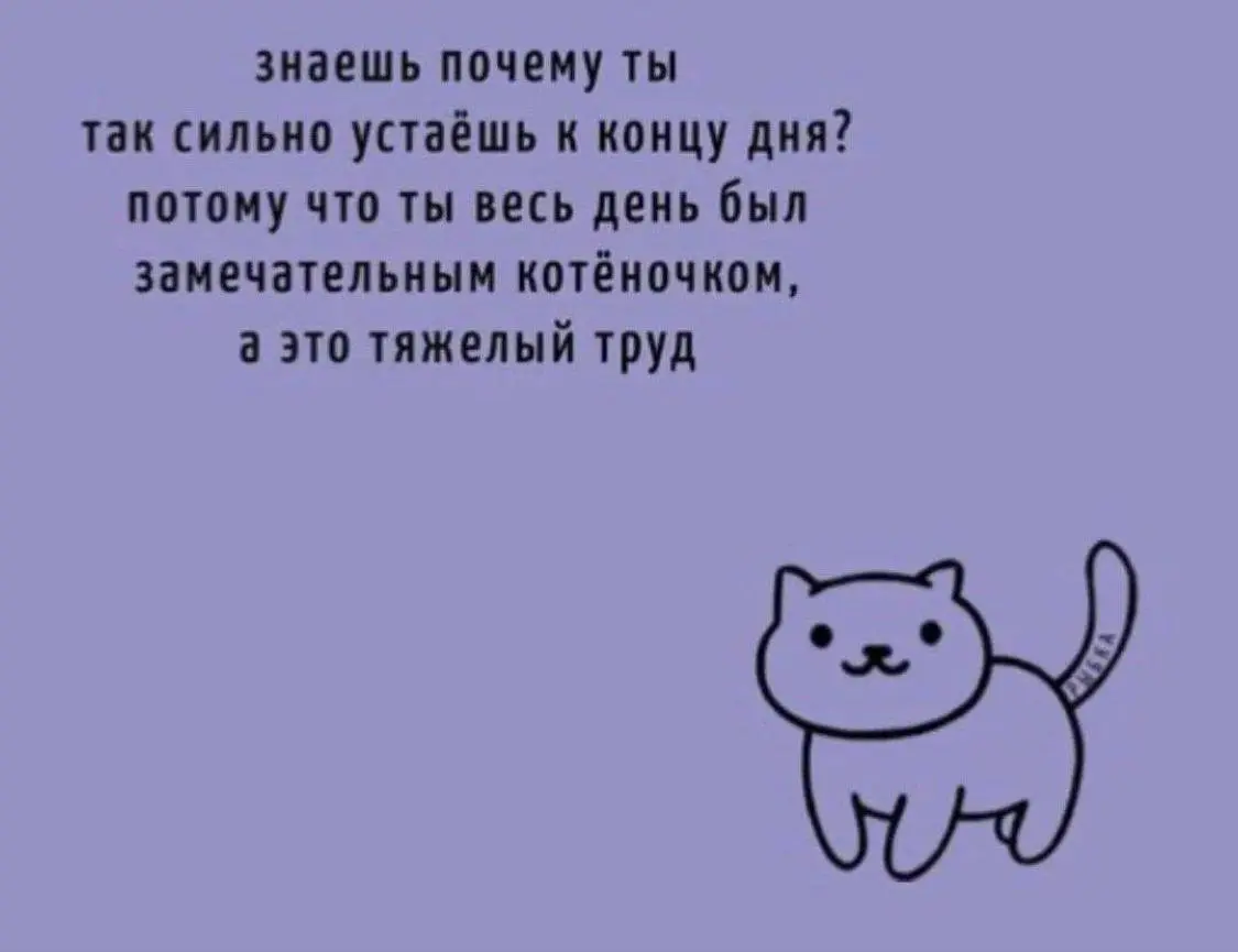 #cats #true | Сетка — социальная сеть от hh.ru
