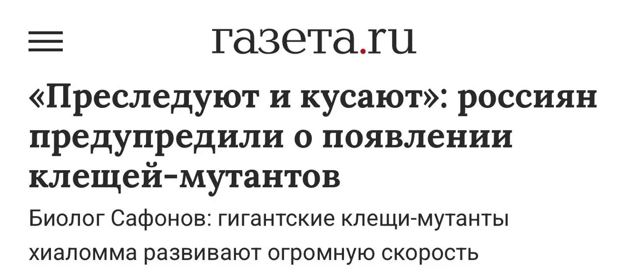 Я: рассказываю вам, как не вестись на кликбейт, фильтровать плохие новости и сохранять холодную голову в информационном шуме | Сетка — социальная сеть от hh.ru