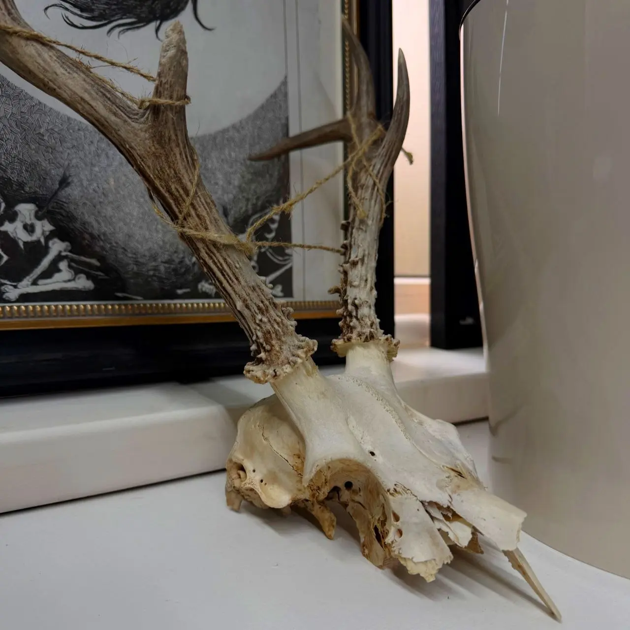 Это было больно, но оно того стоило.
Потому что результат ахерительный! Я очень довольна. Как эскизом, так и исполнением. Эскиз персональный, между прочим, авторов я выбираю именно по стилю татуировок | Сетка — социальная сеть от hh.ru