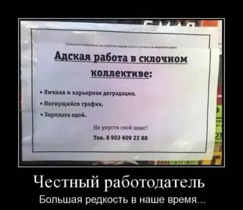 В обеденный перерыв уходят не только зумеры👀 | Сетка — социальная сеть от hh.ru