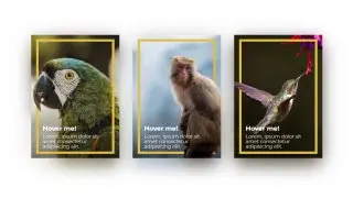3D Cards — карточки с 3D эффектом. Реализована с помощью CSS и JS
https://codepen.io/mubangadv/pen/YzJNbOa | Сетка — социальная сеть от hh.ru