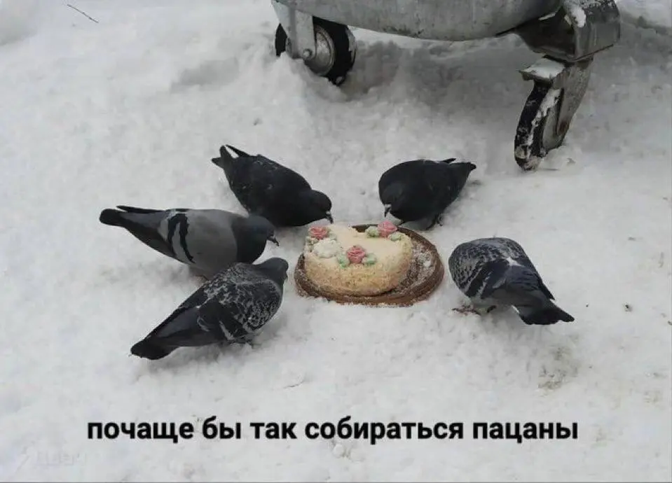 #hh #memes #мем #работа | Сетка — социальная сеть от hh.ru