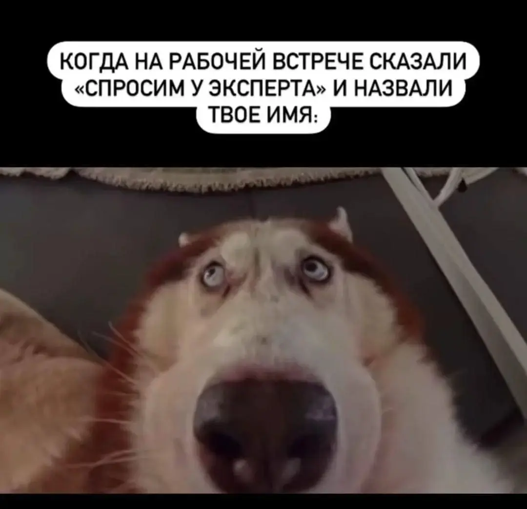 Эксперт или самозванец? | Сетка — социальная сеть от hh.ru