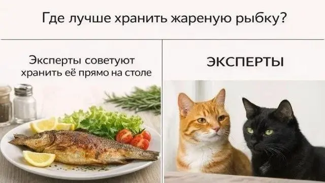 Они лучше знают 😂
#Юмор@poldner #Коты@poldner | Сетка — социальная сеть от hh.ru