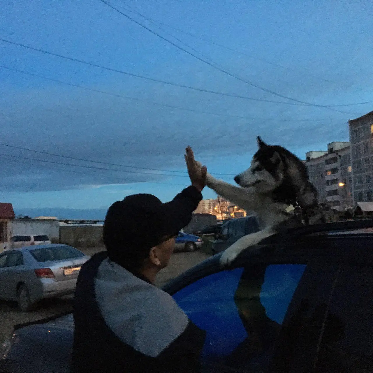 Network member avatar