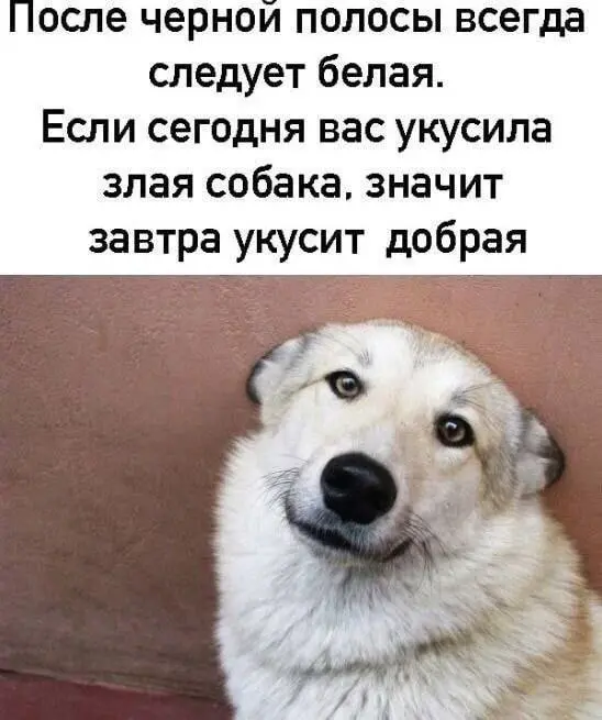 Позитивное мышление | Сетка — социальная сеть от hh.ru