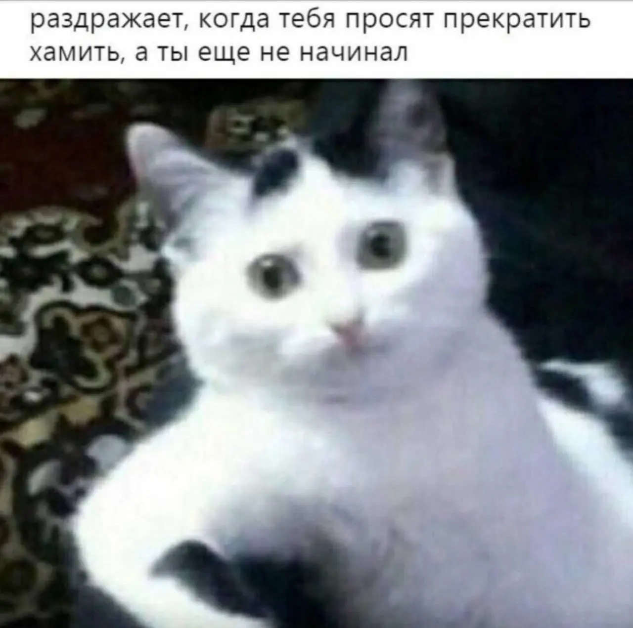 #life | Сетка — социальная сеть от hh.ru