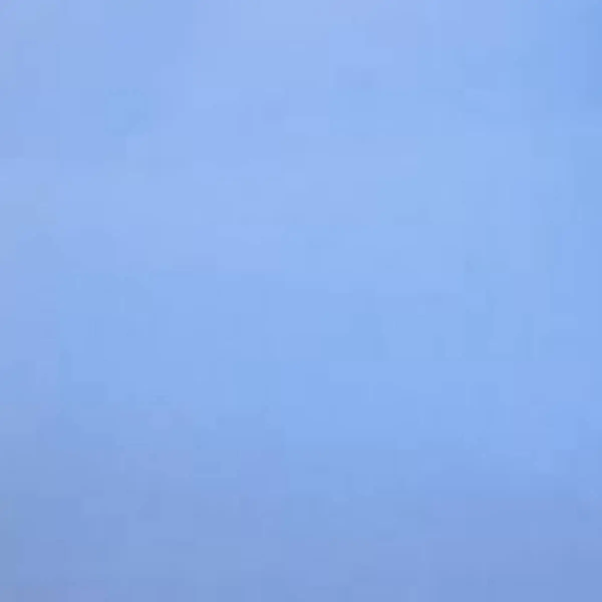 Анастасия Орешкина | Сетка — социальная сеть от hh.ru