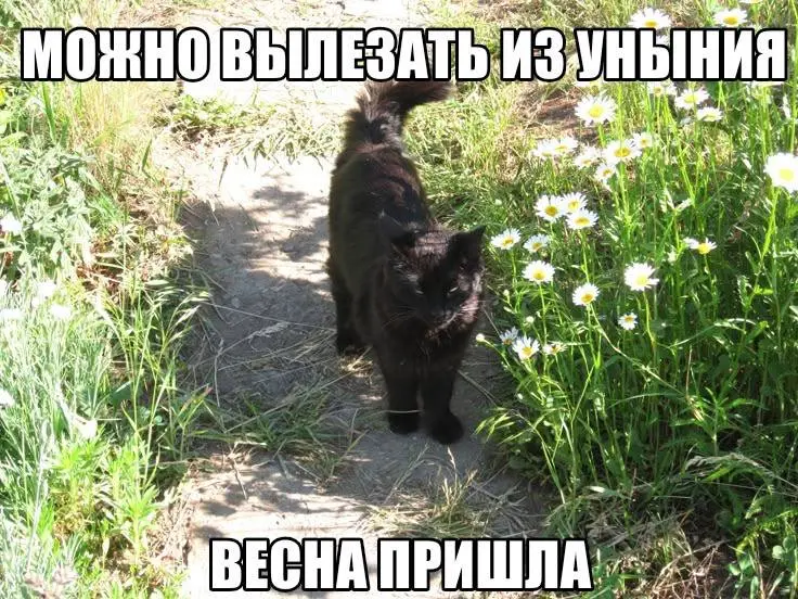 Ребят, вы тоже это чувствуете?? Весна в этом году решила не ждать апреля! Витамин Д снова бесплатный, объявляется массовый выход из депрессии)
Я смотрю в окно и понимаю: всё, сезон загородки официальн... | Сетка — социальная сеть от hh.ru