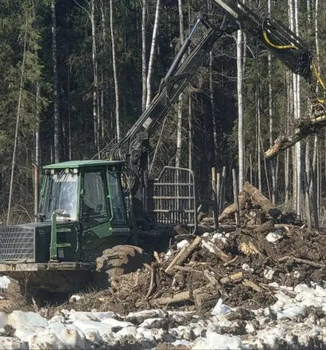 Пока на площадке САЭС-2 в Десногорске лежит снег и идет процесс трелевки и мульчирования лесопорубочных остатков, неподалеку распустились прекрасные... | Сетка — социальная сеть от hh.ru