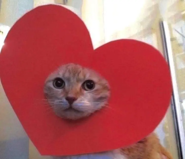 Почему каждый опыт работы по-своему крут | Сетка — социальная сеть от hh.ru