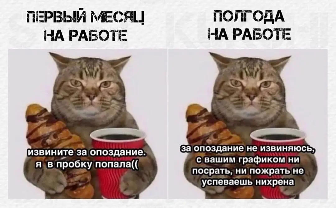 #пятничное
👉 Для программистов: Тут рассказываю, как бесплатно попасть на DevCon от фирмы 1С
👉 А всем остальным напомню про скидки на мои группы до конца недели: Разработка с нуля и Инструменты аналит... | Сетка — социальная сеть от hh.ru