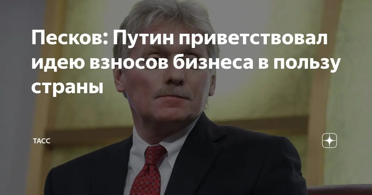 Путин поддержал идею взносов бизнеса в пользу страны — Песков | Сетка — социальная сеть от hh.ru