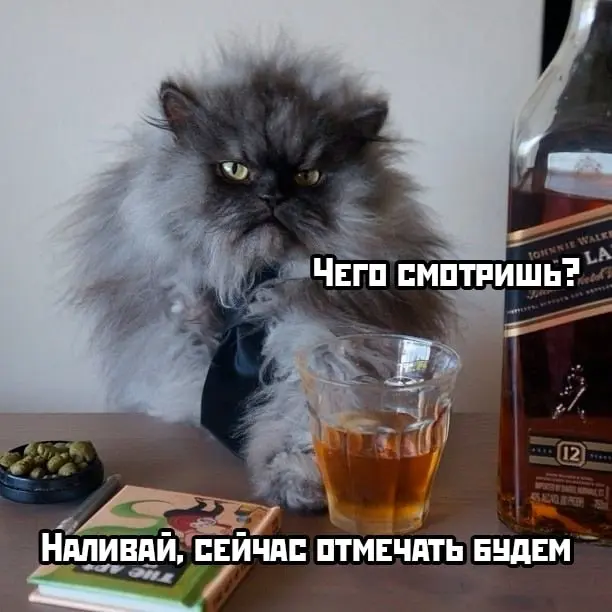 Сегодня отмечается Международный день виски 🥃.
Закрывайте ноуты/отключайте компы, берите творую половинку и вперед отмечать 🥂 | Сетка — социальная сеть от hh.ru