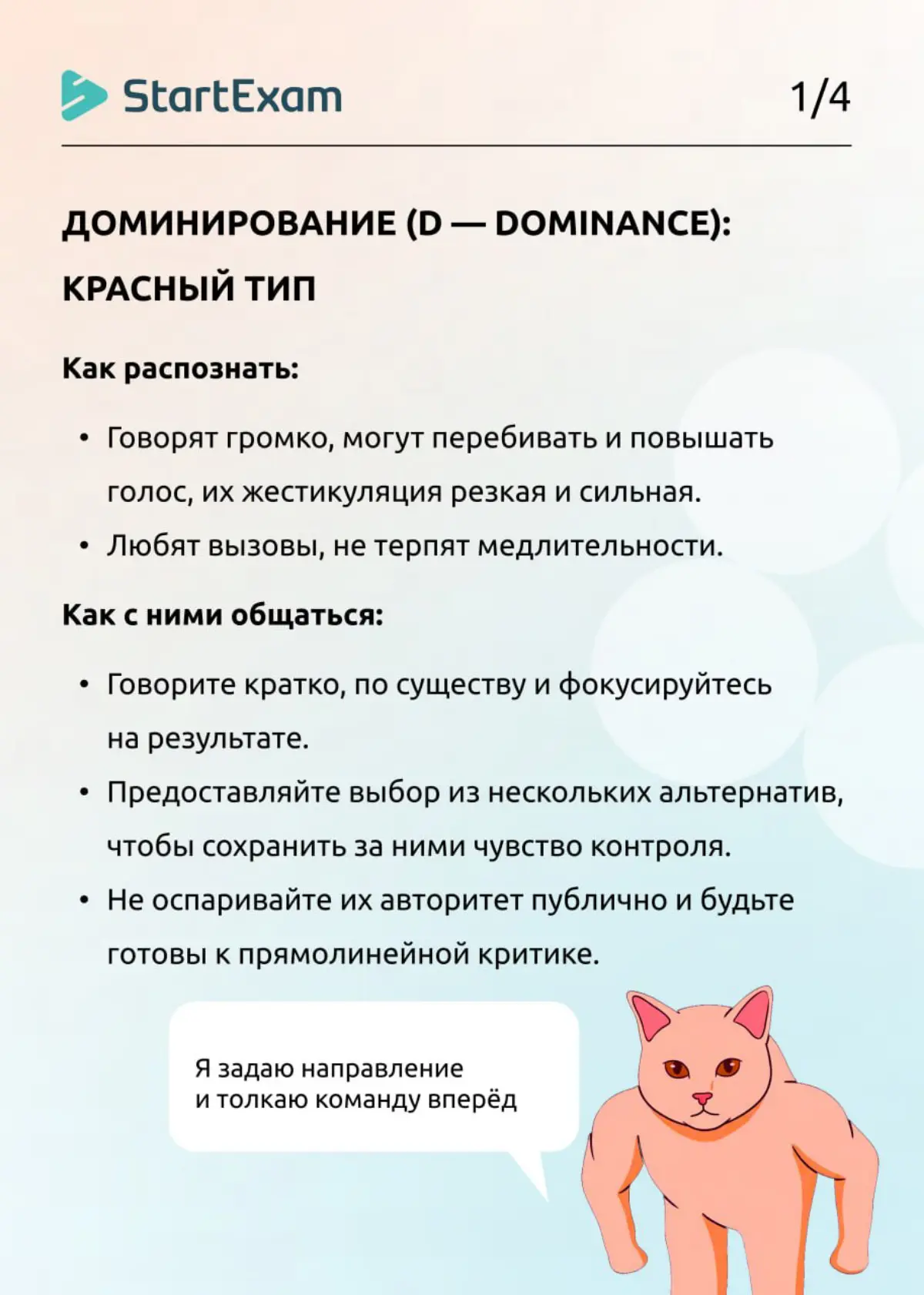 💯 Это база для HR и руководителей | Сетка — социальная сеть от hh.ru