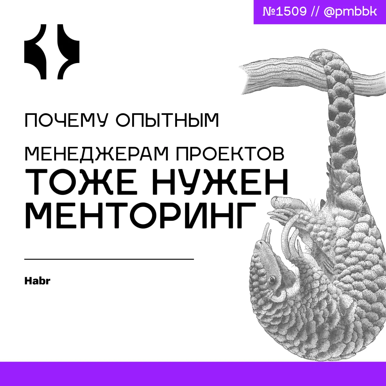 👨‍🏫 Почему опытным менеджерам проектов тоже нужен менторинг
Менторинг - это инструмент, который начинает работать там, где курсы и чек-листы бессильны: на этапе, когда вы уже принимаете решения в усло... | Сетка — социальная сеть от hh.ru