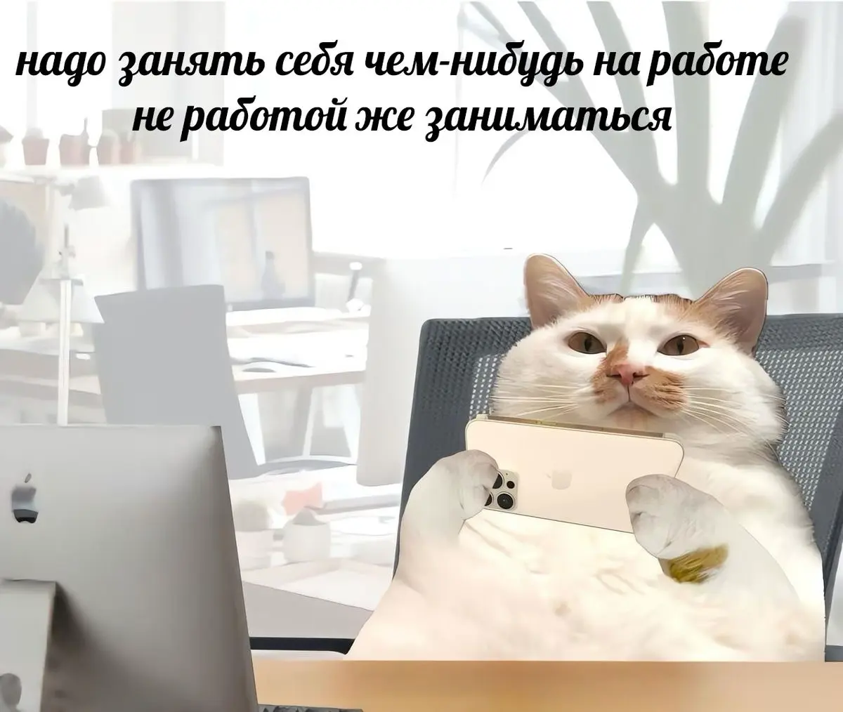«У нас строго офис — на удаленке люди работать не хотят» | Сетка — социальная сеть от hh.ru