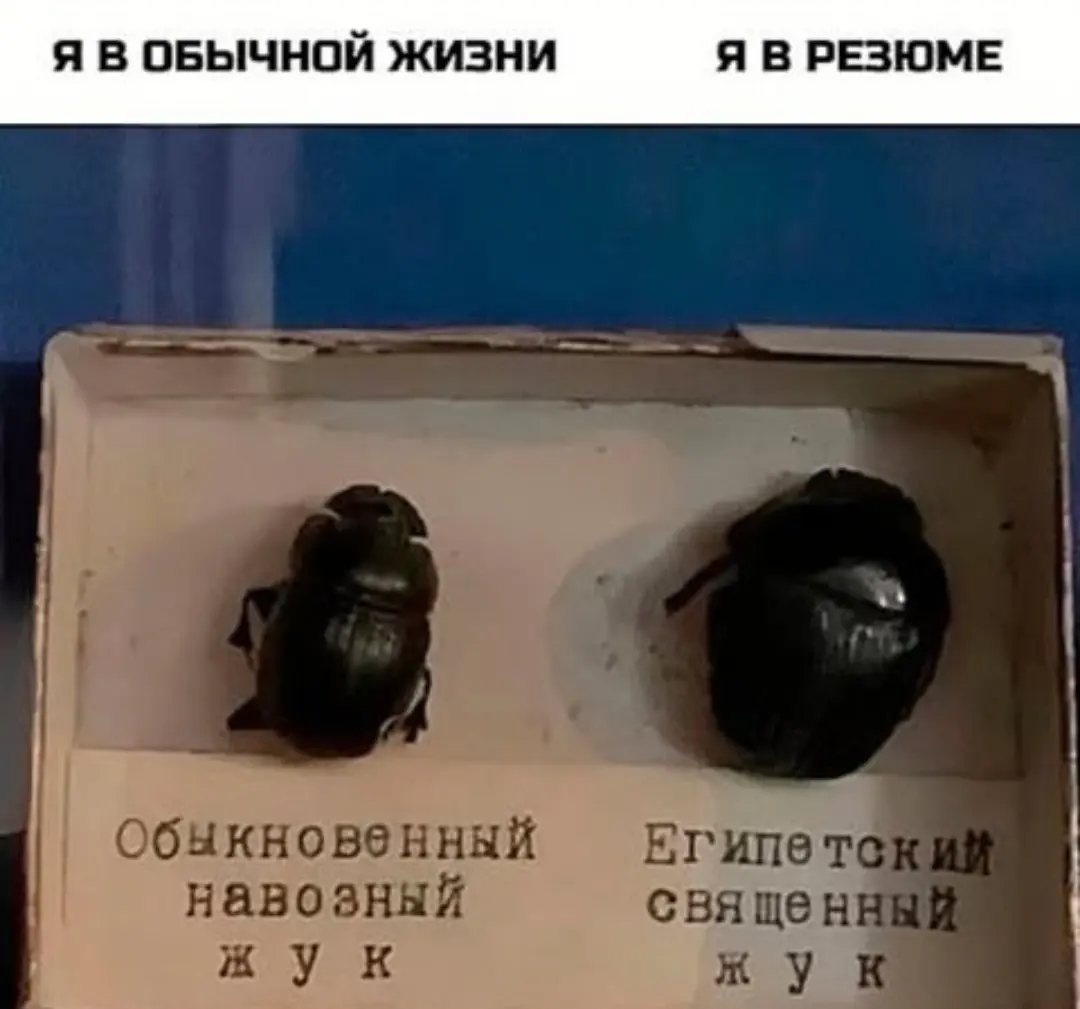 Узнали? Согласны? | Сетка — социальная сеть от hh.ru