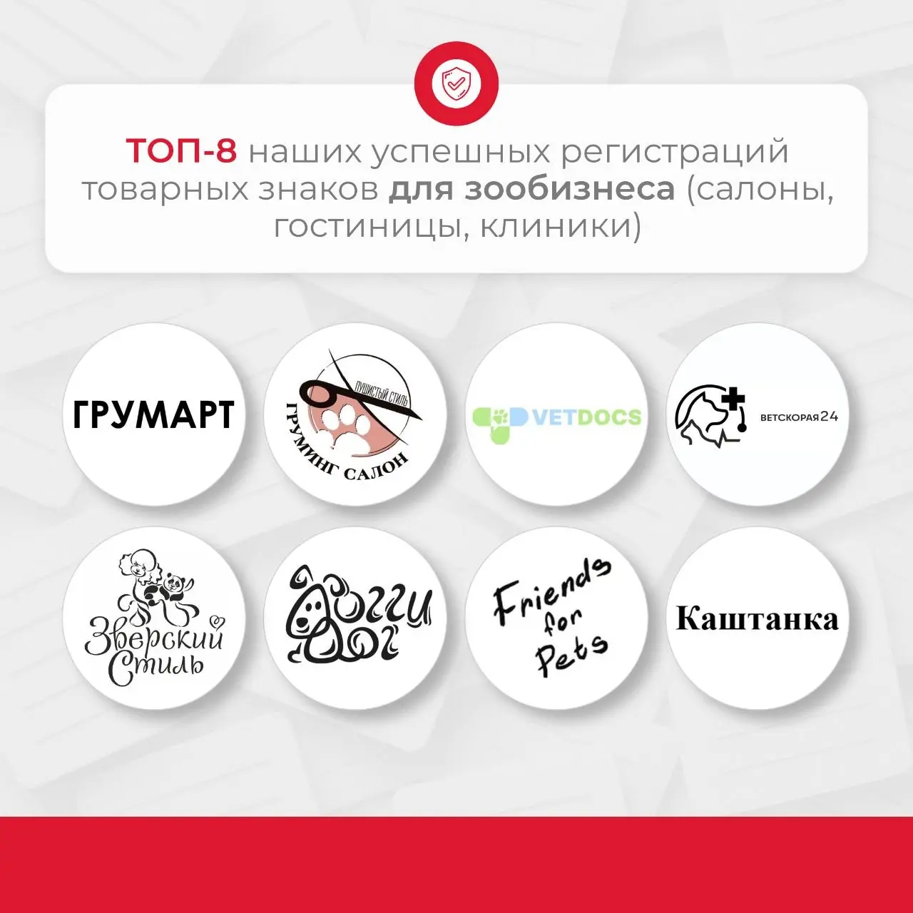 Сфера зообизнеса переживает настоящий бум. То, что ещё десять лет назад казалось экзотикой, сегодня — огромная индустрия с многомиллиардными оборотами | Сетка — социальная сеть от hh.ru