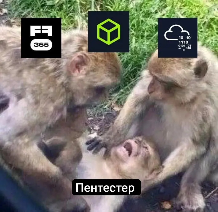 Когда собрался отдохнуть в пятницу вечером, но у твоих любимых платформ были другие планы 😁 | Сетка — социальная сеть от hh.ru