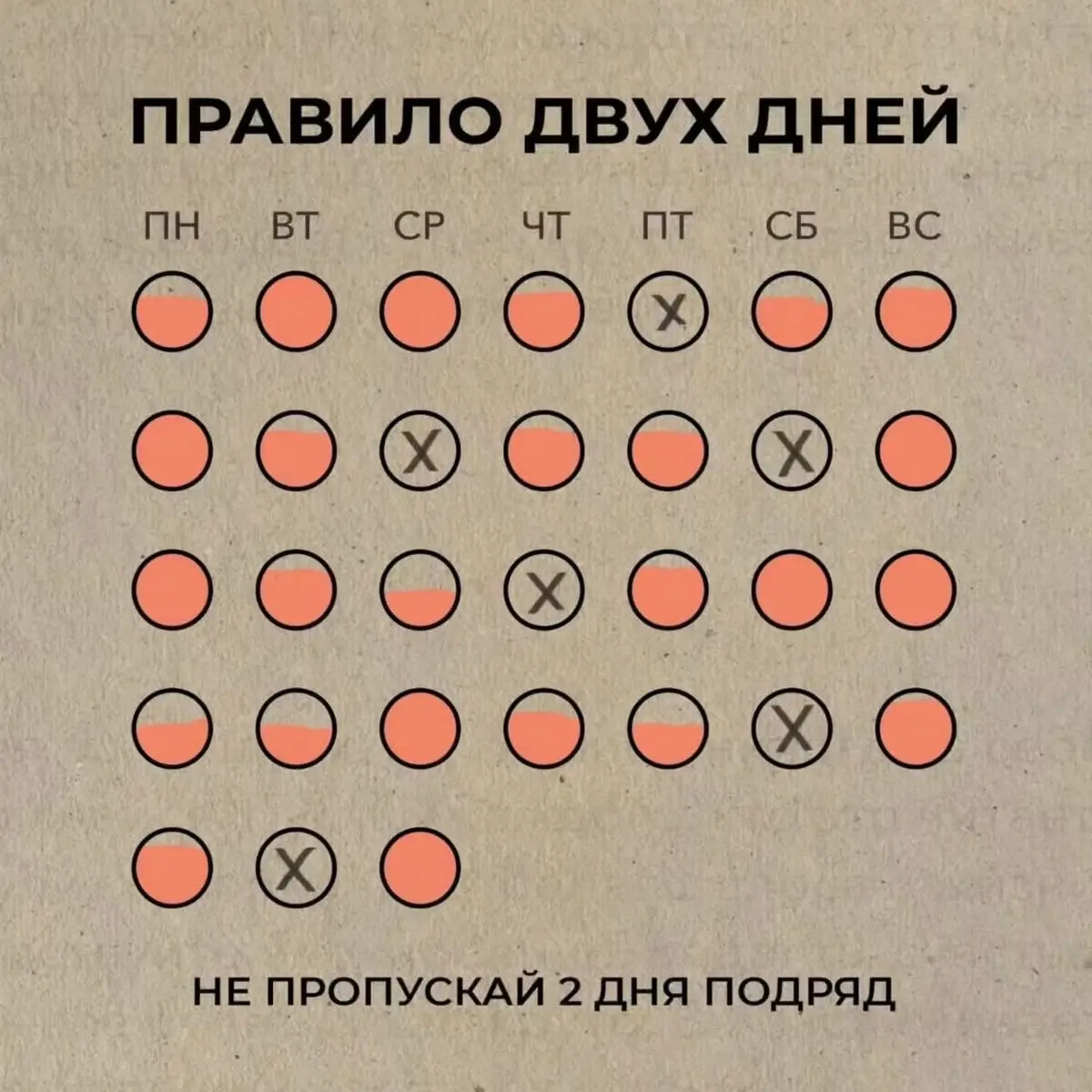 ⚙️🧠 | Сетка — социальная сеть от hh.ru