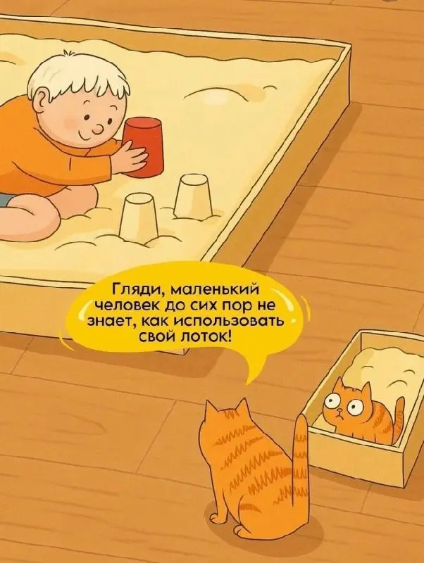 Ему ещё учиться и учиться 😂😂😂
#Юмор@poldner #Коты@poldner | Сетка — социальная сеть от hh.ru