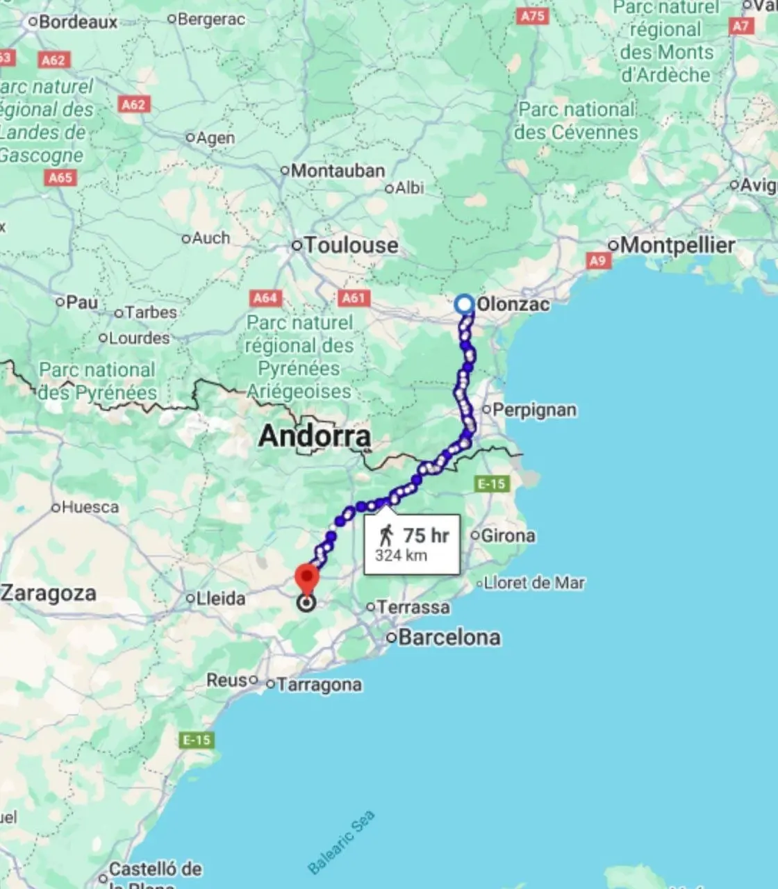 Домашний кот потерялся в Испании и сам вернулся во Францию — он искал дом 4 месяца и прошел 250 км в одиночку.
Хозяева потеряли Филу в путешествии и искали неделями | Сетка — социальная сеть от hh.ru