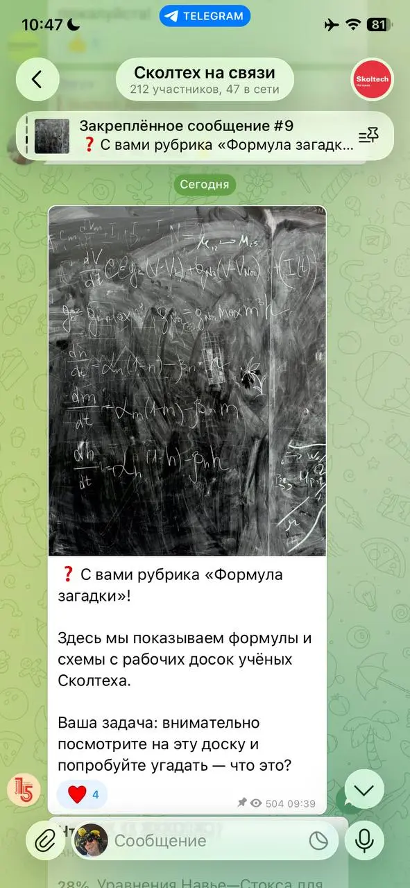Блеснул знаниями 😅 | Сетка — социальная сеть от hh.ru
