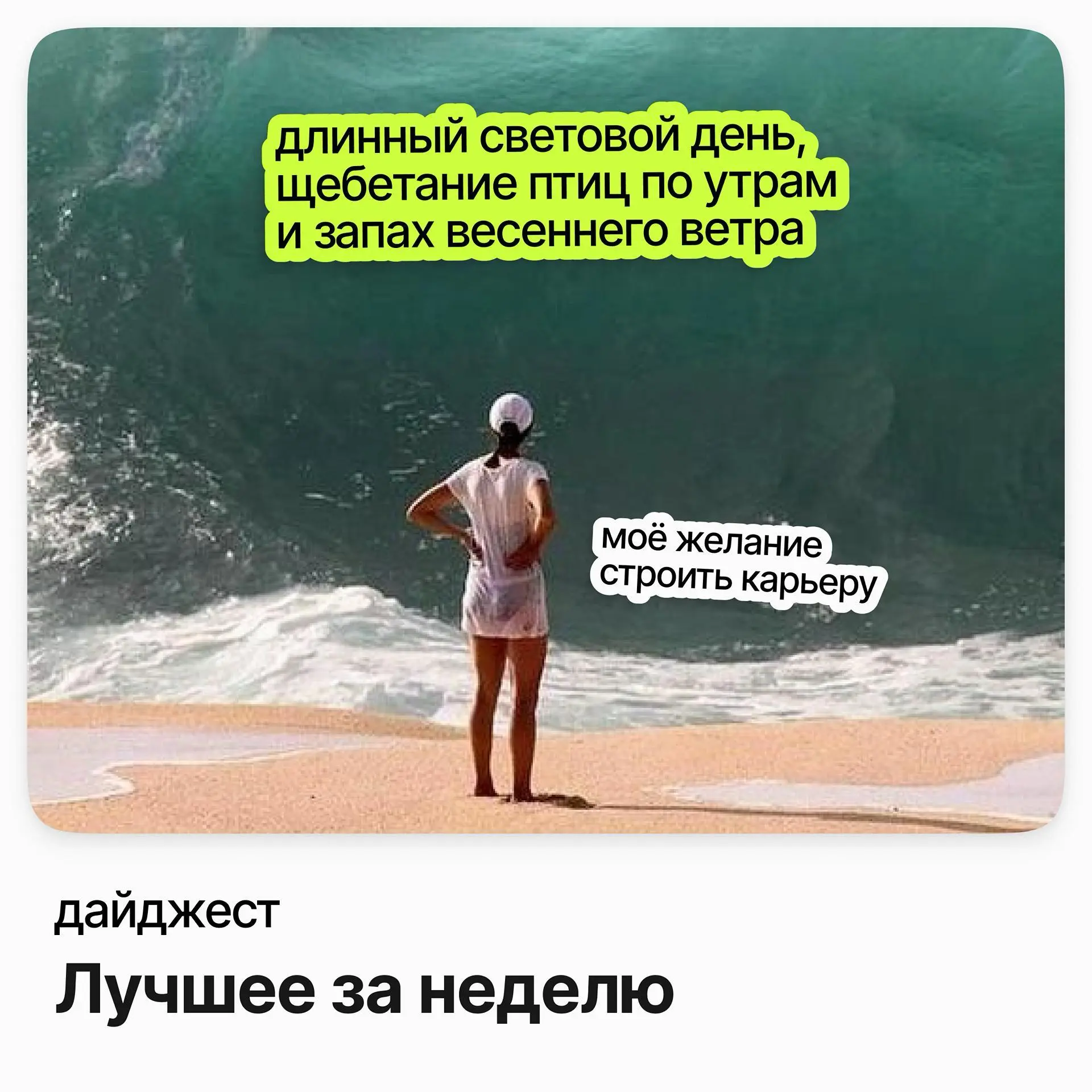Лучшее за неделю | Сетка — социальная сеть от hh.ru
