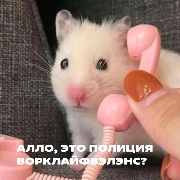 Обнимаем тех, кому приходится работать на выхах. И бережно напоминаем: так и до выгорания недалеко. | Сетка — социальная сеть от hh.ru