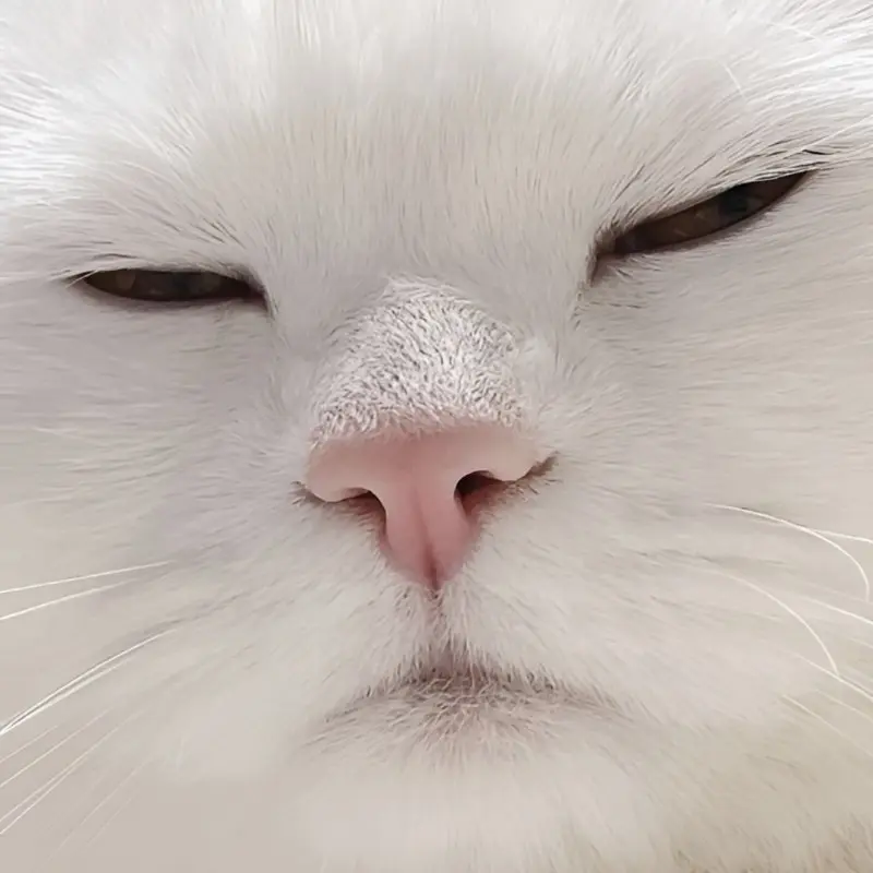 Иван Cтратосферов | Сетка — социальная сеть от hh.ru