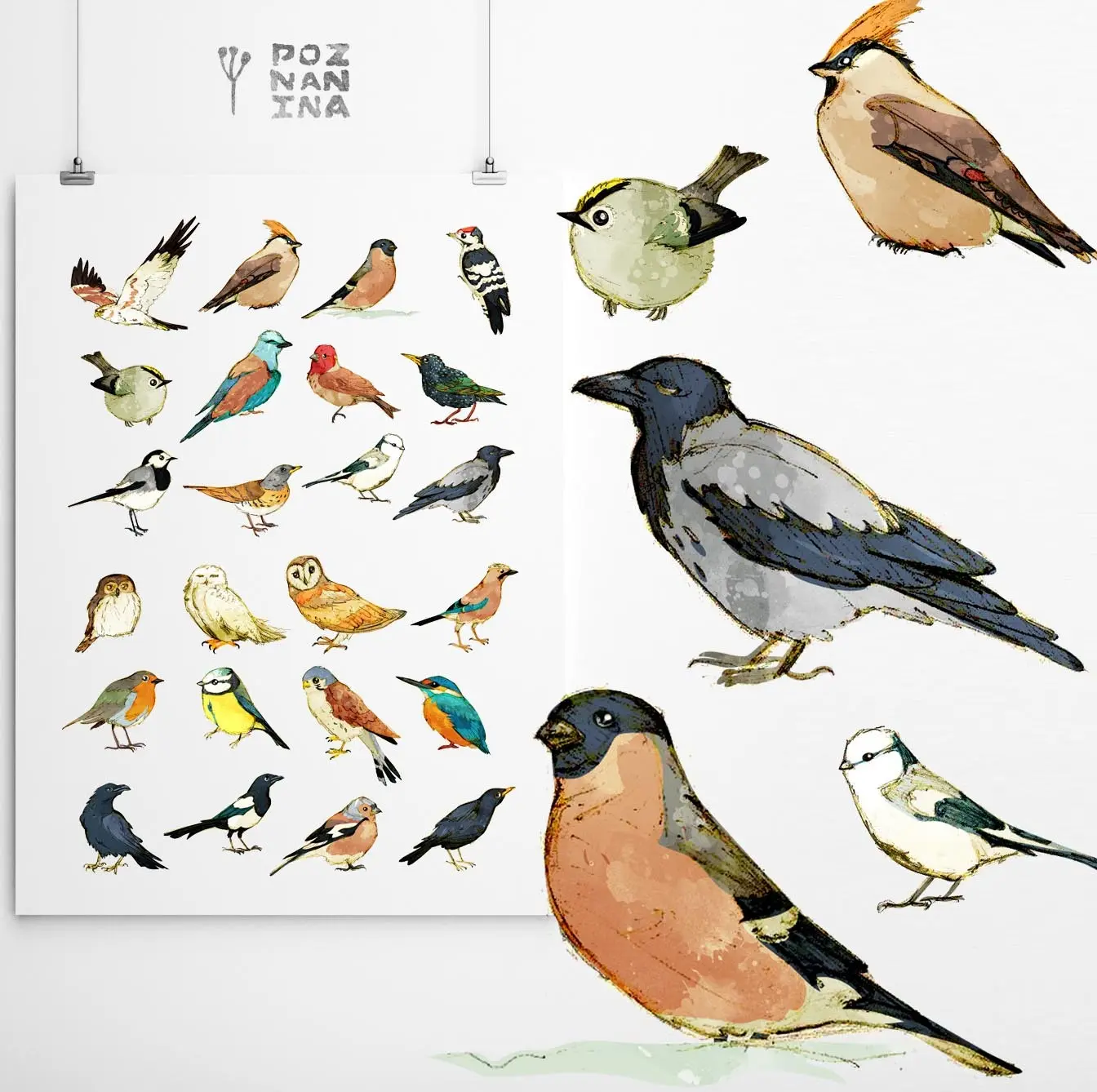 Network member avatar