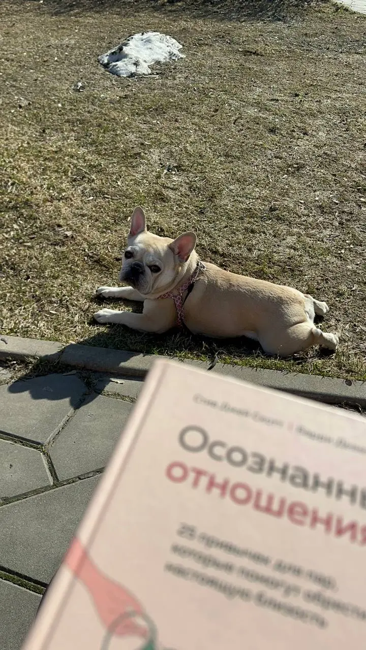 Отношения не складываются, как только заканчивается влюбленность. Это первый кризис отношений. Когда партнер начинает раздражать | Сетка — социальная сеть от hh.ru