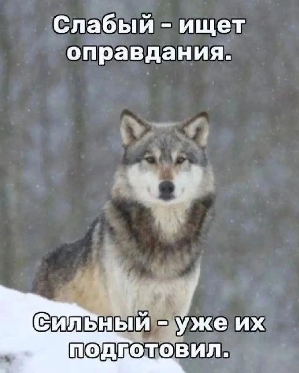 Ахахахахха | Сетка — социальная сеть от hh.ru