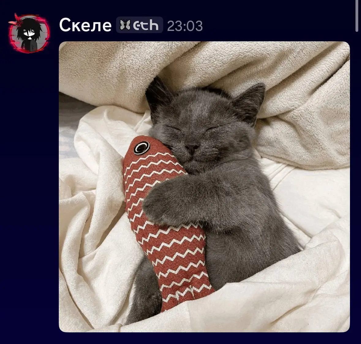 Подборка гивок от Skele | Сетка — социальная сеть от hh.ru