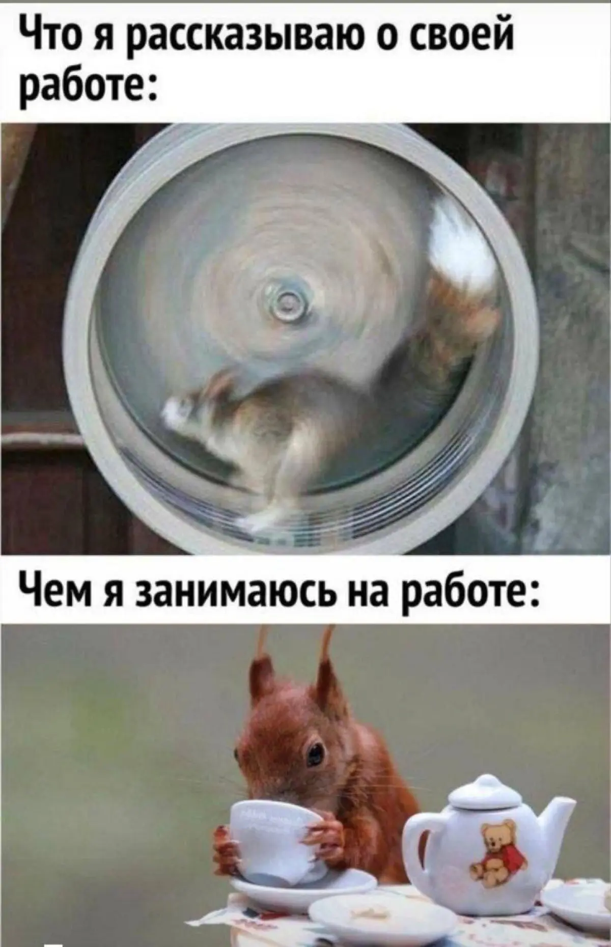 Правило 80/20: спасательный круг или камень на шее?🛟 | Сетка — социальная сеть от hh.ru