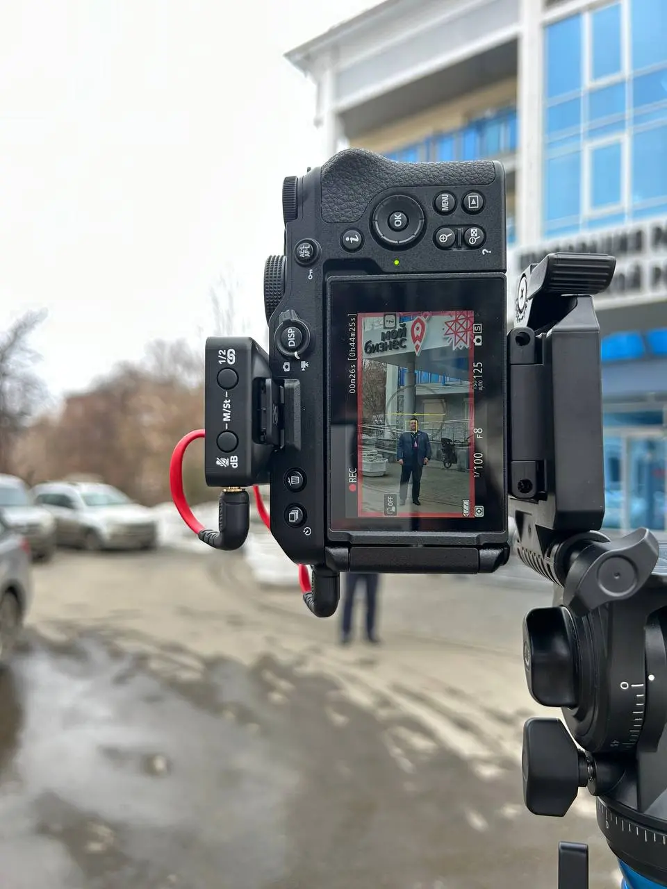 Случайные картинки из жизни маркетолога🥰
Делитесь в комментариях фотографиями, благодаря которым все влюбятся в вашу профессию 👇🏻 | Сетка — социальная сеть от hh.ru