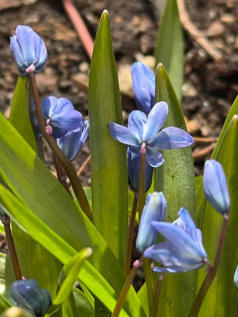 🌷Волшебство весны в Обручевском районе
📲Подпишитесь на Вдвижении
#бесплатно
В этом посте были ссылки, но мы их удалили по правилам Сетки | Сетка — социальная сеть от hh.ru