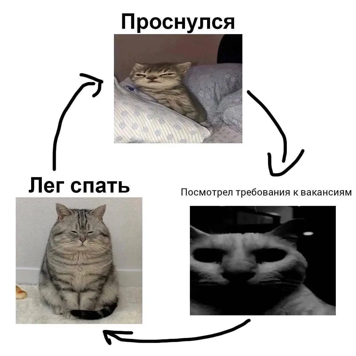 Всем, у кого утро начинается не с кофе, а с проверки откликов — нежного пробуждения!
Остальным соболезнуем 🤝🫂
@netwrkresume | Сетка — социальная сеть от hh.ru