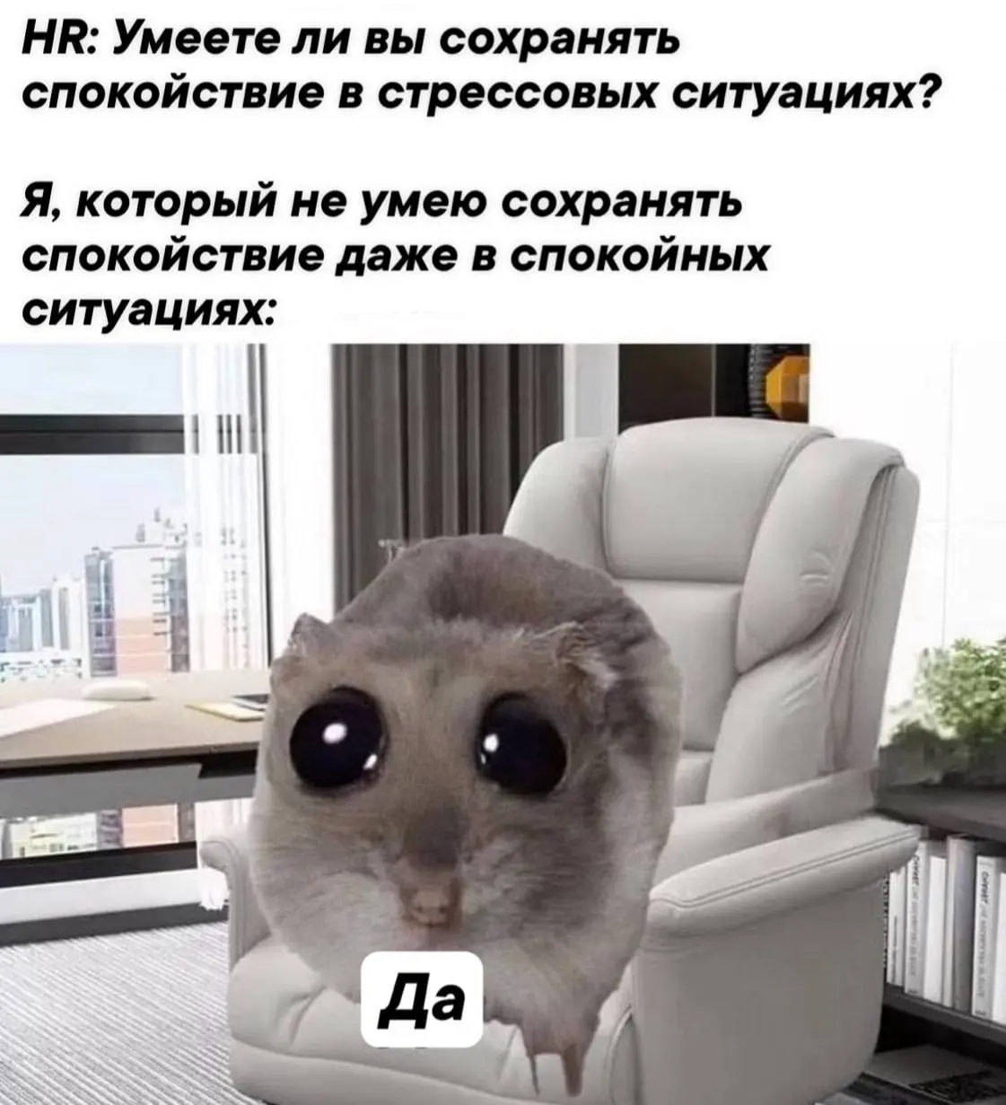 Всем, у кого утро начинается не с кофе, а с проверки откликов — нежного пробуждения!
Остальным соболезнуем 🤝🫂
@netwrkresume | Сетка — социальная сеть от hh.ru