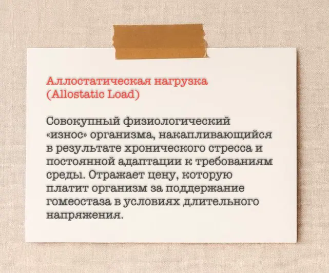 Словарь выгорания. Термин дня 🔥 | Сетка — социальная сеть от hh.ru