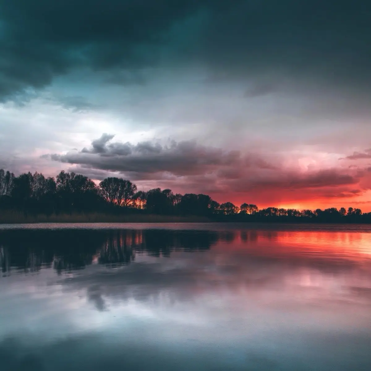 Илья Хомутинников | Сетка — социальная сеть от hh.ru