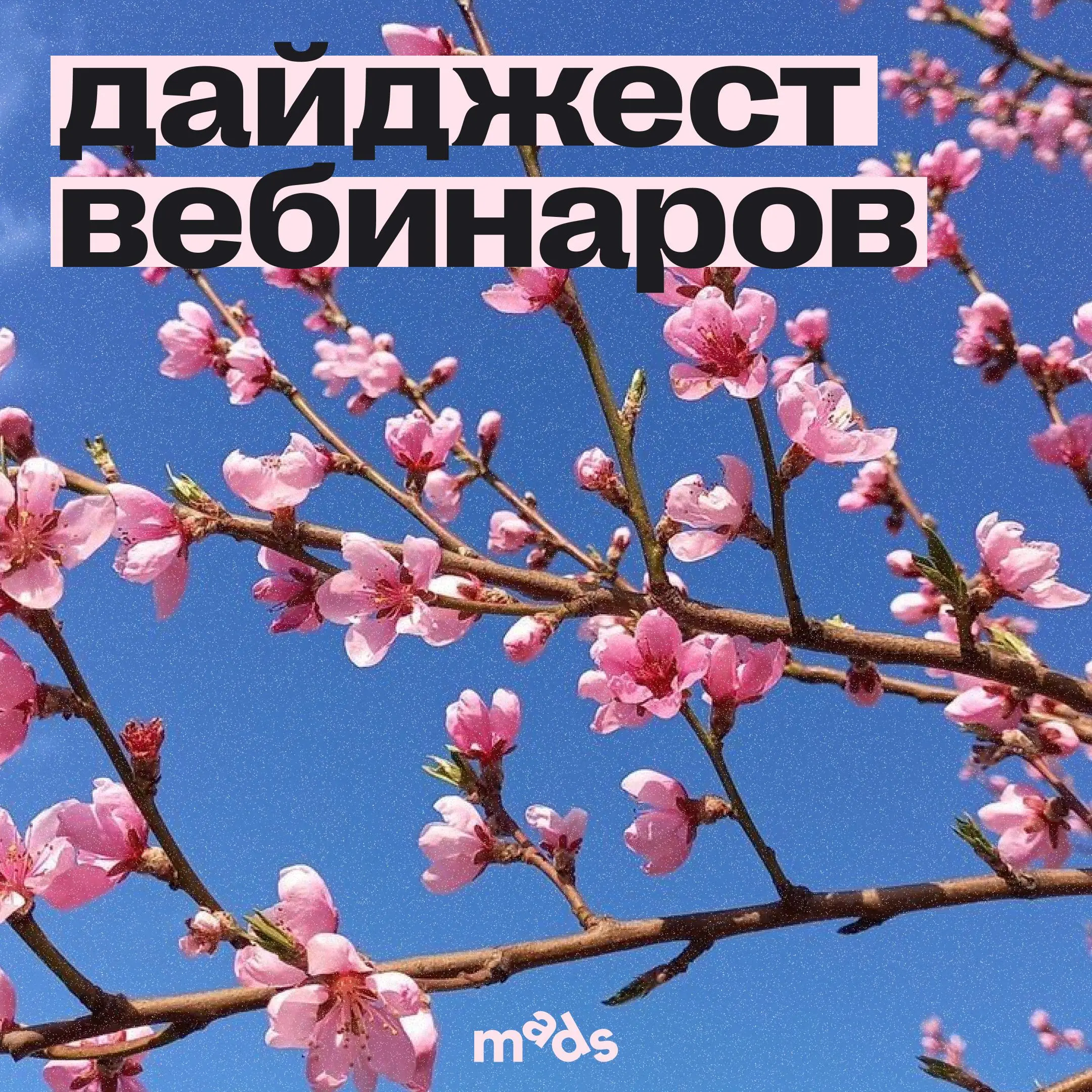 Что это? А это новый дайджест ближайших событий на неделю 👀
Спойлер: будет насыщенно, потому что вас ждут бесплатные вебинары, спринт от ПИКЧИ и креативный интенсив вместе с Яндекс Маркетом | Сетка — социальная сеть от hh.ru