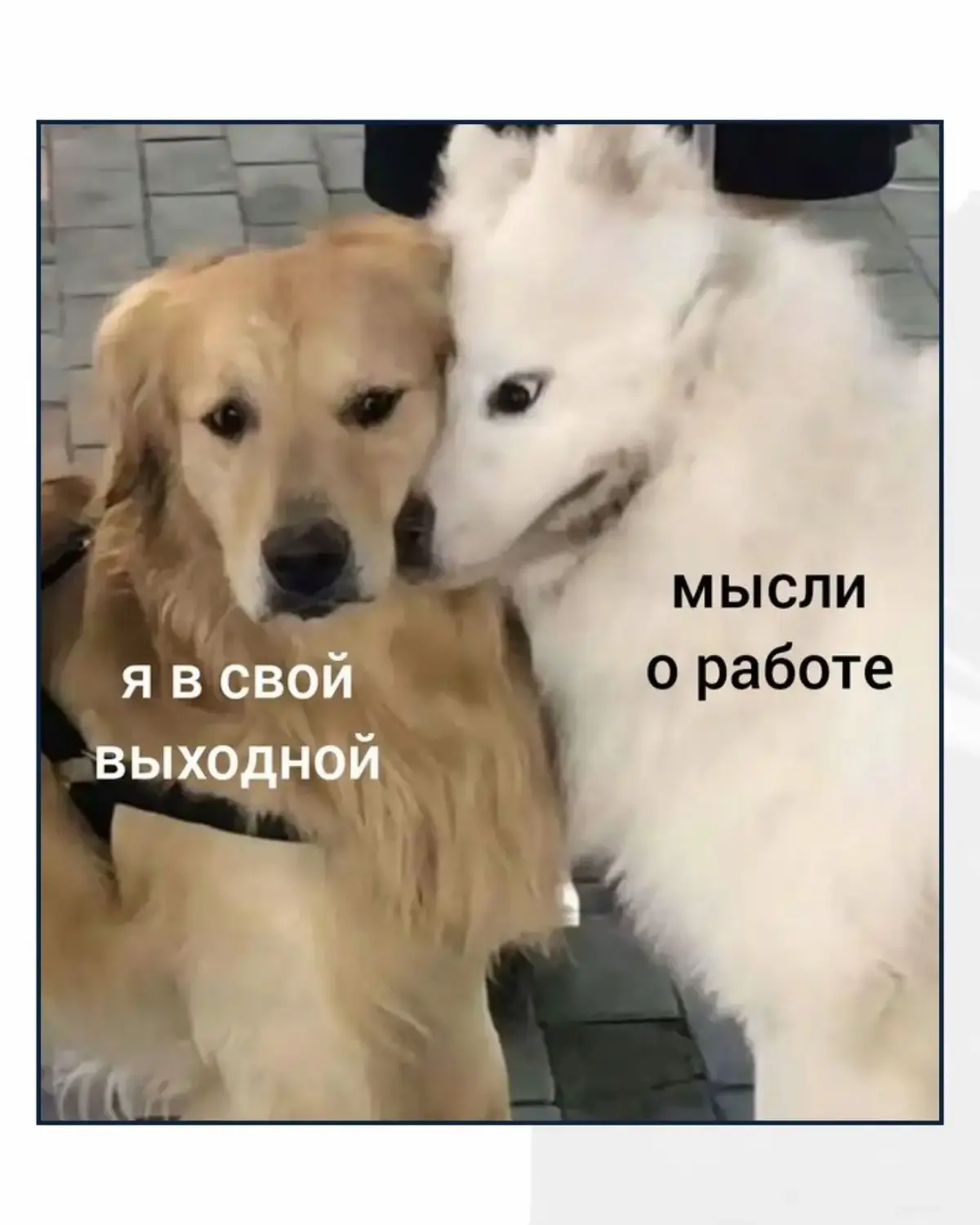 База | Сетка — социальная сеть от hh.ru