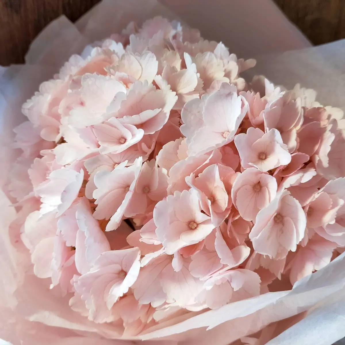 Анастасия Богачева | Сетка — социальная сеть от hh.ru