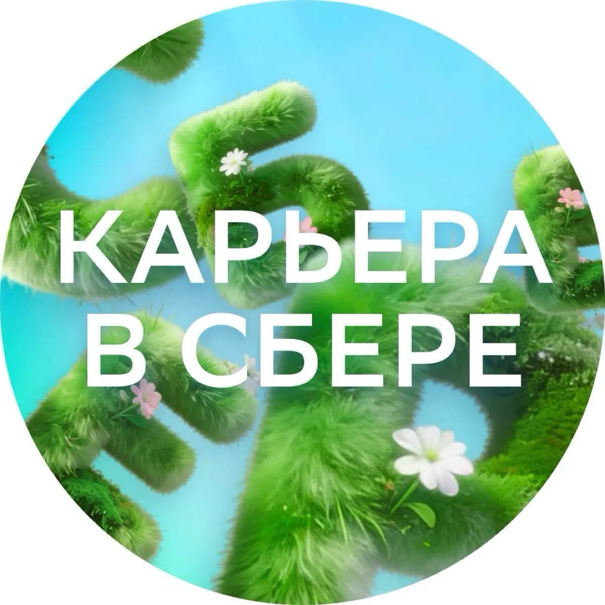 Карьера в Сбере