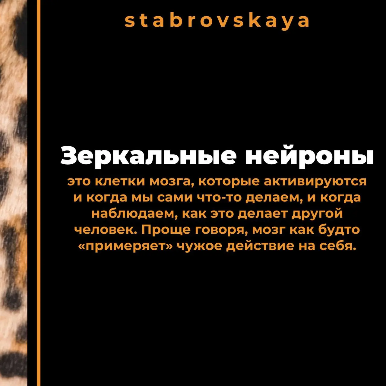 Как книга на столе удваивает шансы продажи квартиры? Психология интерьеров для риелторов
Пустая комната - это минус 73% скорости продажи (данные Национальной ассоциации риелторов США, 2025) | Сетка — социальная сеть от hh.ru
