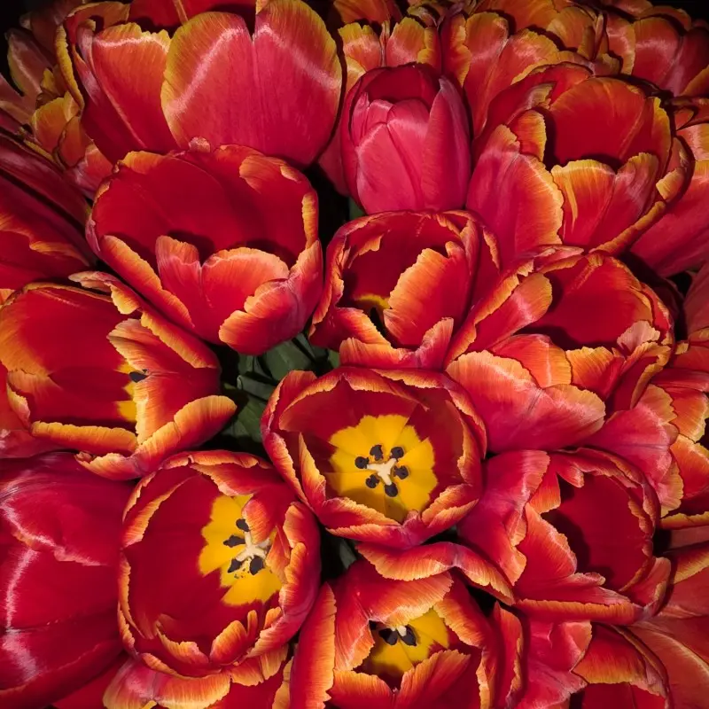 Елена Хмелёва | Сетка — социальная сеть от hh.ru