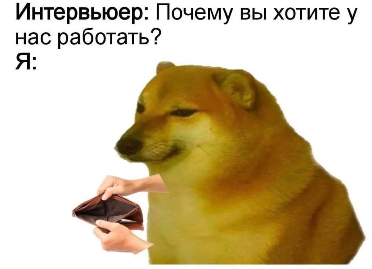 Подъехала очередная база и жизнь 99,99% людей | Сетка — социальная сеть от hh.ru